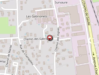 Carte de Vernet Gérard à Montbrison