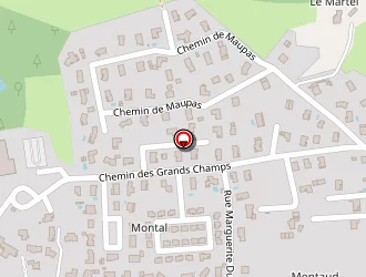 Carte de Favier Romain à Montbrison