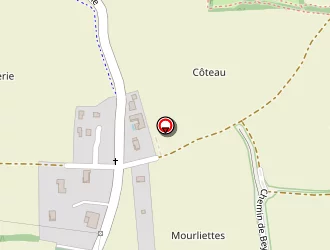 Carte de Lion Beauté à Simandres