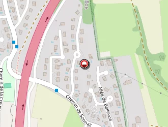 Carte de Dominique Couffrant à Voglans