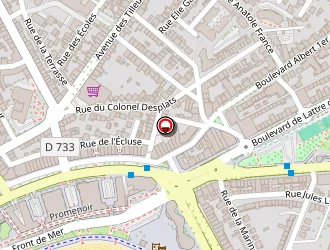 Carte de Minelli à Royan