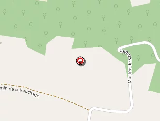 Carte de Doncieux Raymond à Saint-savin