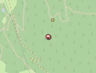 Carte de E-precisionsport.fr à Séez