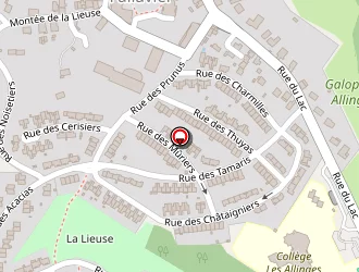 Carte de Kenouche Tahar à Saint-quentin-fallavier