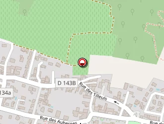 Carte de Aux Trois Faisans à Saint-savin