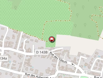 Carte de Pizza Loca à Saint-savin