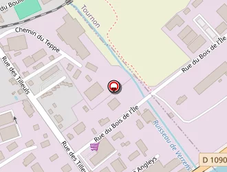 Carte de Peugeot Garage Auto Stop à Frontenex