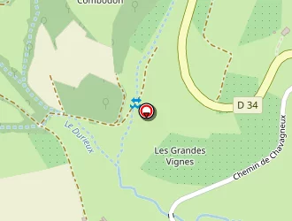 Carte de Besson Lionel à Chaussan