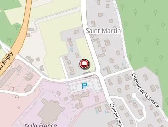 Carte de Socrema à Saint-savin