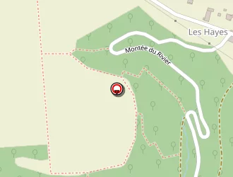 Carte de Durand Ludovic à Saint-savin