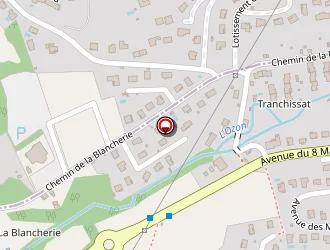 Carte de Rebaodo Michel à Saint-symphorien-d'ozon