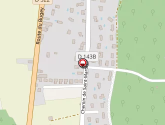 Carte de Auto Contrôle Pein à Saint-savin