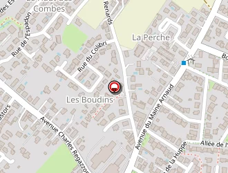 Carte de Elegance Auto à Royan