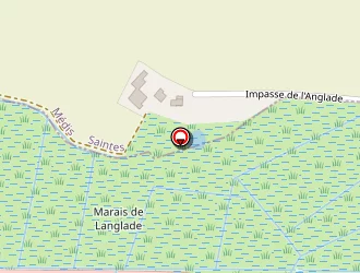 Carte de Paysant Alexandre à Royan