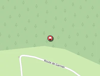 Carte de Estive à Saint-bonnet-le-courreau