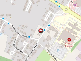 Carte de Tessier Bénédicte à Soyaux