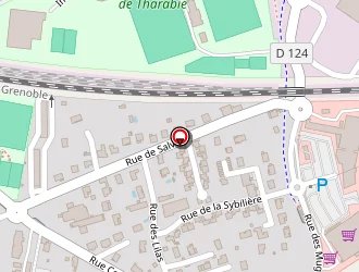 Carte de Nefis à Saint-quentin-fallavier