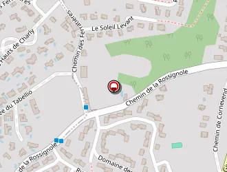 Carte de Thieu Lam Vernaison à Vernaison