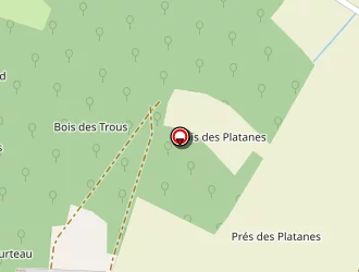 Carte de Proud Jean-gabriel à Médis