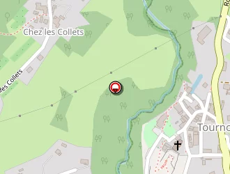 Carte de Ganzer Serge à Verrens-arvey