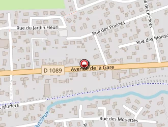 Carte de Morel Patrick à Montrond-les-bains