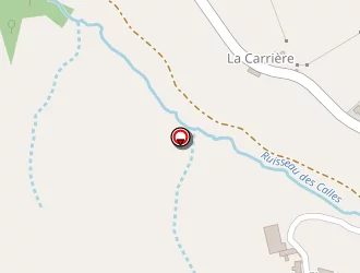 Carte de Gonon Agnès à Chazelles-sur-lyon