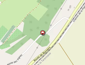 Carte de Ancelin Stephane à Tournon