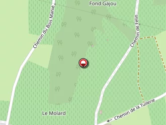 Carte de Gueridon à Taluyers