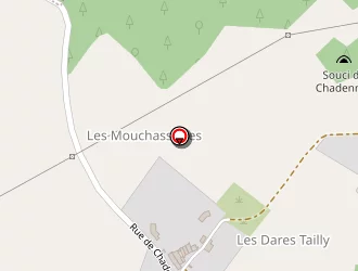 Carte de Sanza Eric à Tesson