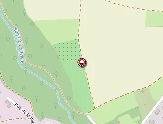 Carte de Renault Bastide Serge à Vic-le-comte