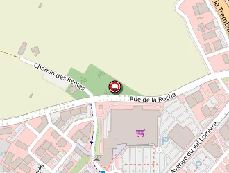 Carte de Fleur Attitude à Vaux-sur-mer