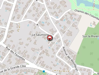 Carte de Tara à Saint-palais-sur-mer