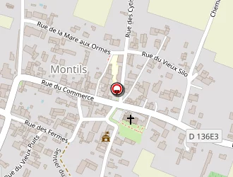 Carte de Mairie à Montils