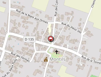 Carte de Martineau Anthony à Montils