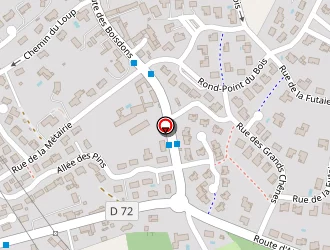 Carte de Ducerisier Pierre à Linars