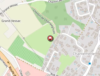 Carte de Pierrelee François à Vaux-sur-mer