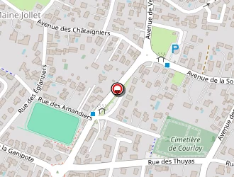 Carte de P.b.s.c. à Saint-palais-sur-mer