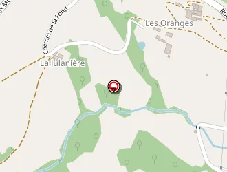 Carte de Gaudin Georges à Rontalon