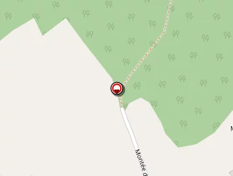 Carte de Dafflon à Frontonas