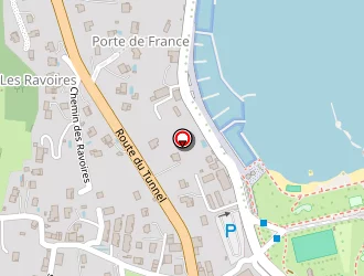 Carte de Magic Toutou à Bourget-du-lac (le)