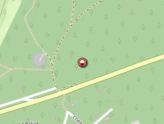 Carte de Clousit Rose à Saint-palais-sur-mer