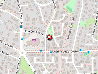 Carte de Gymnase Des Romanettes à Corbas