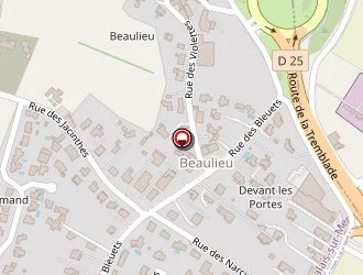 Carte de Cable Et Vous à Saint-palais-sur-mer