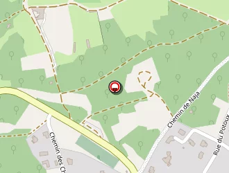 Carte de La Toison D Or à Saint-saturnin