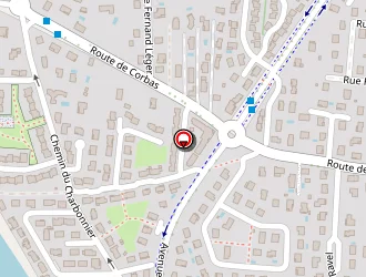 Carte de Vie Smile (billy Loïc) à Mions