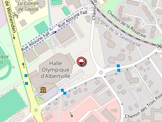 Carte de Le Grizzly à Albertville