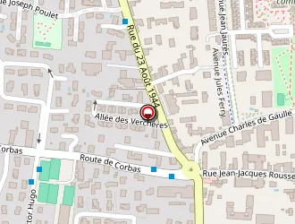 Carte de Gounon Gérard à Mions