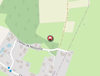 Carte de Faure Elect Service à Salagnon