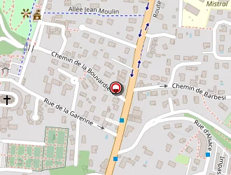 Carte de Ferragne Patrick à Feyzin