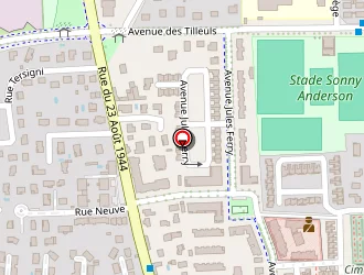 Carte de Pizza Des 2 Gones à Mions